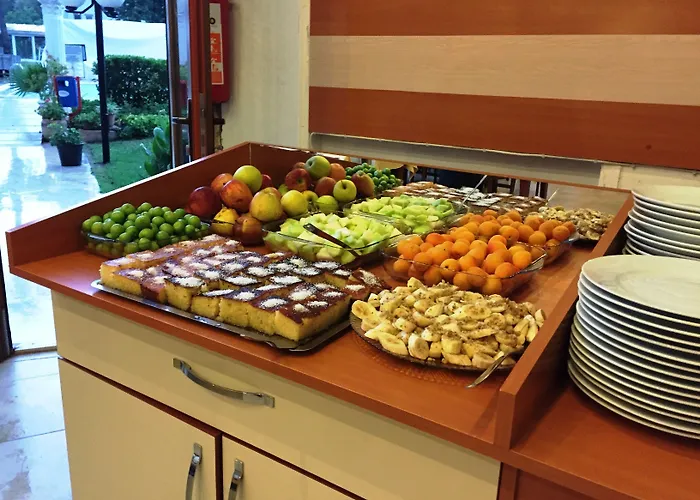 Panorama Plaza Hotell 3*