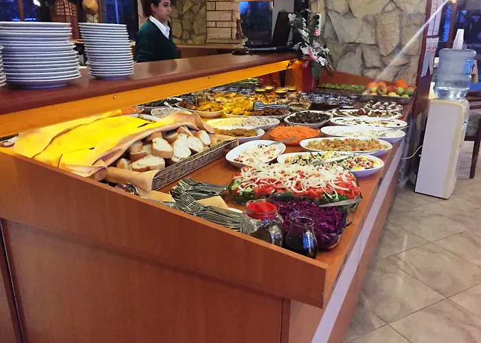 Panorama Plaza Hotell